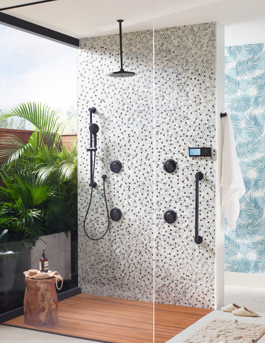 Moen® SMART SHOWER system