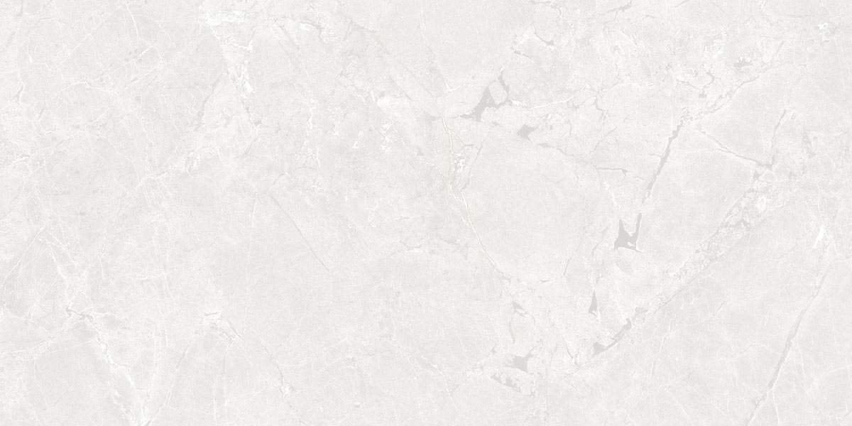 NEEKO White 24 x 48 stone effect matte floor / wall tile