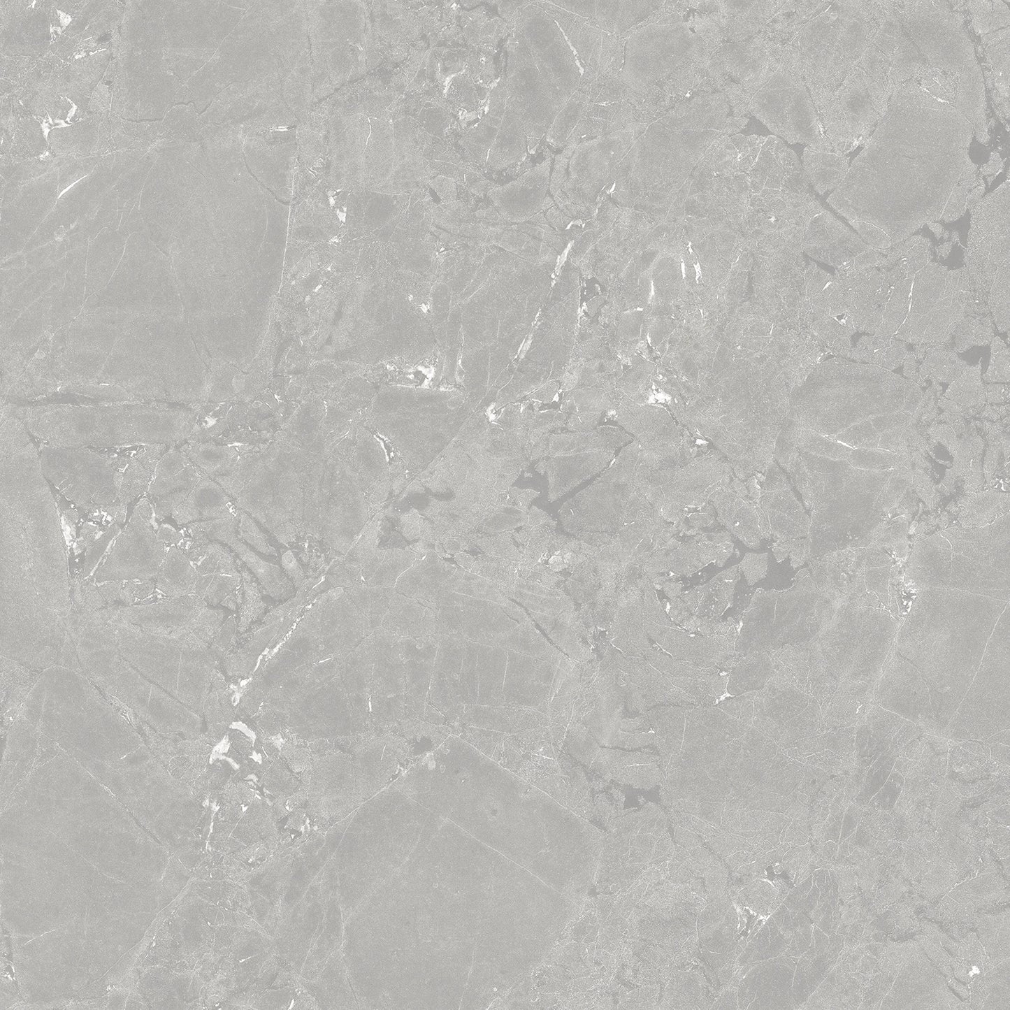 NEEKO Grey 24 x 24 stone effect matte floor / wall tile