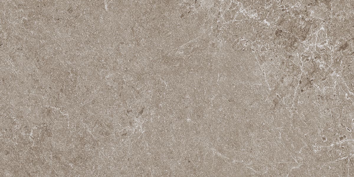 ADVANTAGE Greige stone effect 12 x 24 matte wall / floor tile