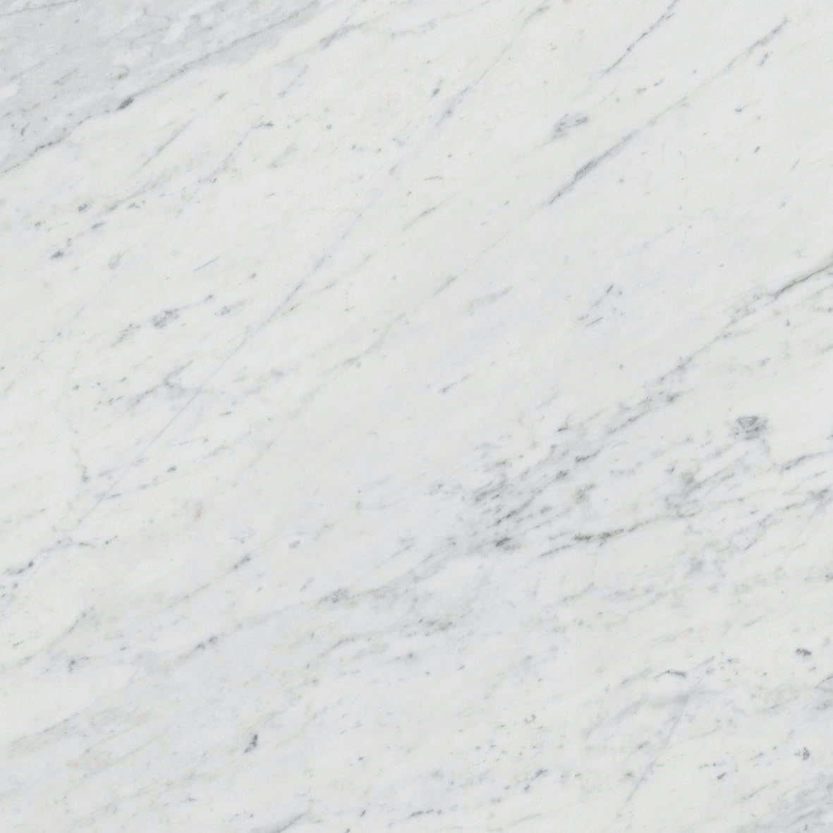 MAJESTIC Bianco Barga 24 x 24 marble style matte wall / floor tile