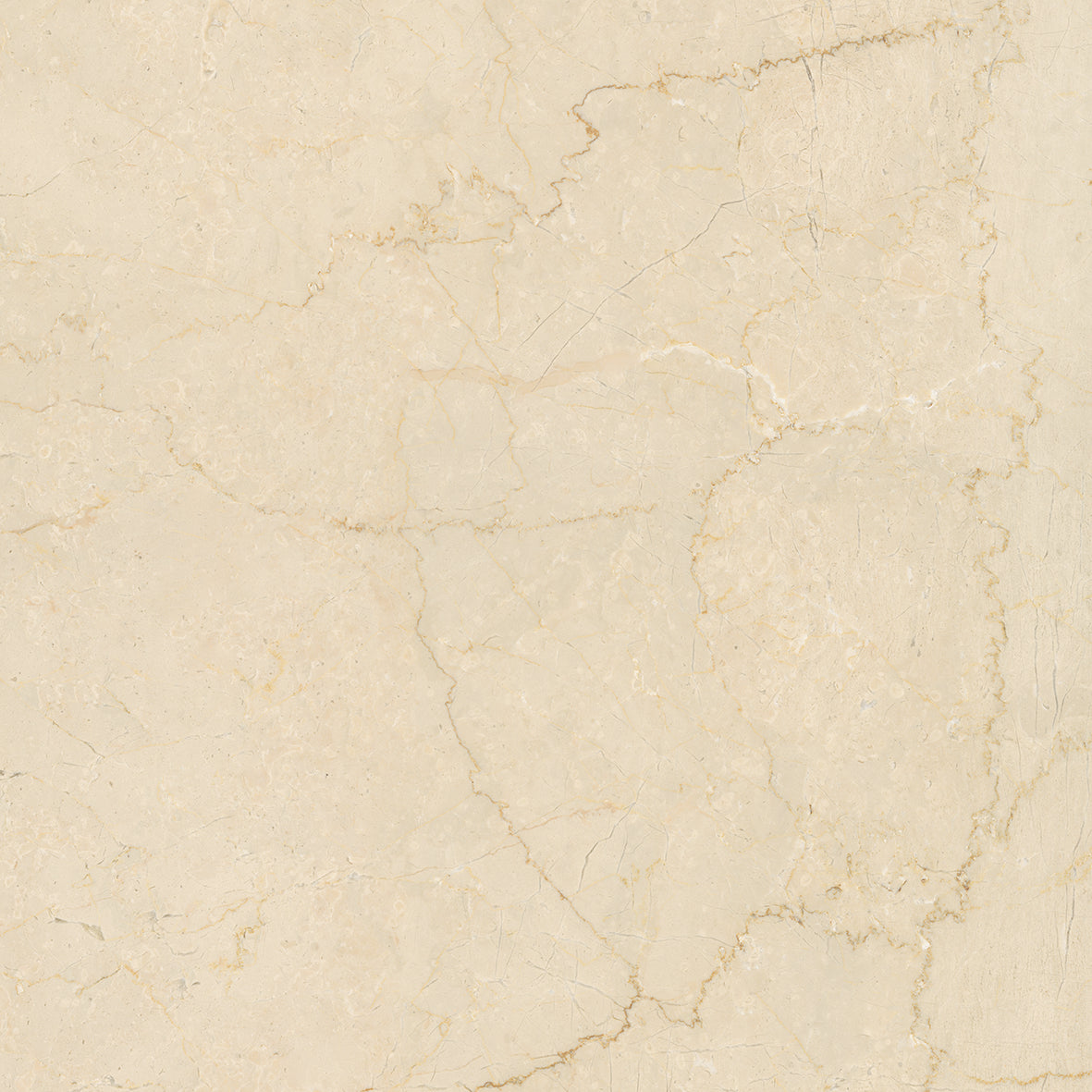 MAJESTIC Crema Rezzato 12 x 12 marble style matte wall / floor tile
