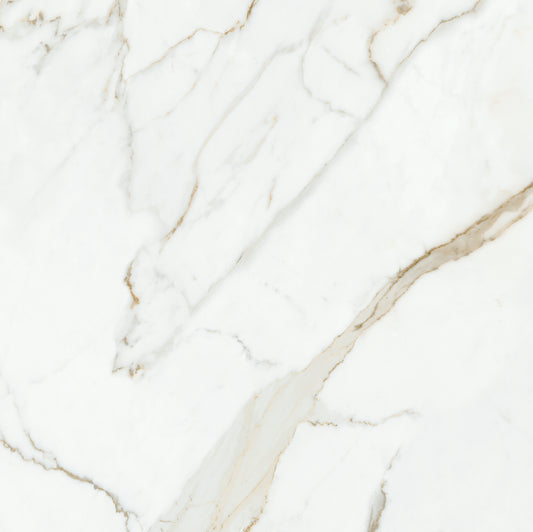 MAJESTIC Oro Versilia 24 x 24 marble style matte wall / floor tile