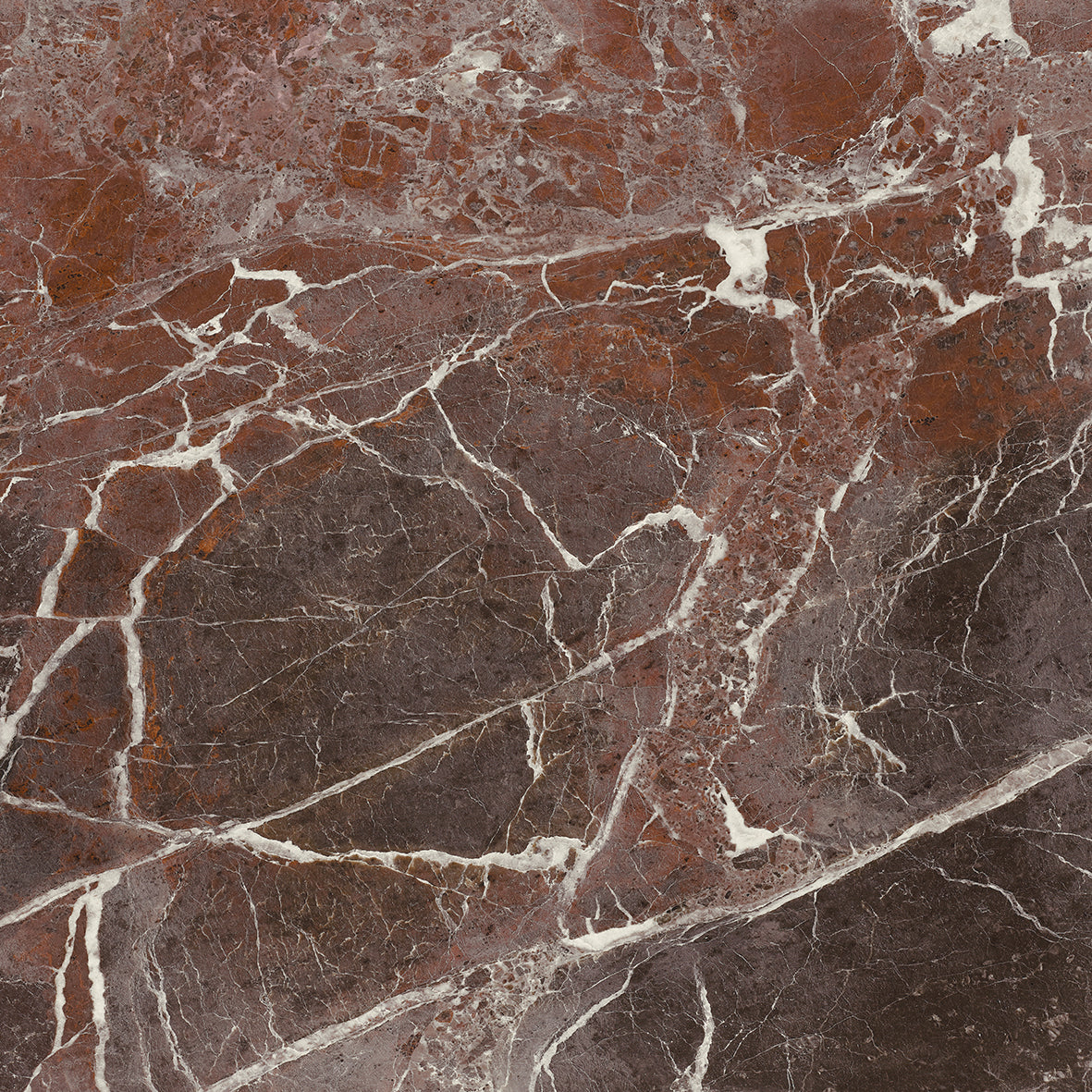 MAJESTIC Rosso Levanto 12 x 12 marble style matte wall / floor tile