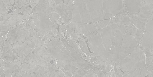 NEEKO Grey 24 x 48 stone effect matte floor / wall tile