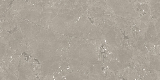 NEEKO Taupe 24 x 48 stone effect matte floor / wall tile