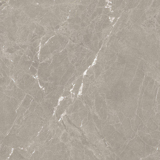 NEEKO Taupe 24 x 24 stone effect matte floor / wall tile