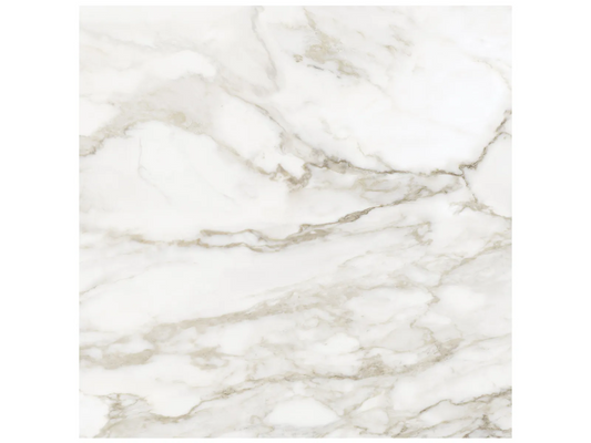 La Marca calacatta paonazzo 32 x 32 rectified polished tile