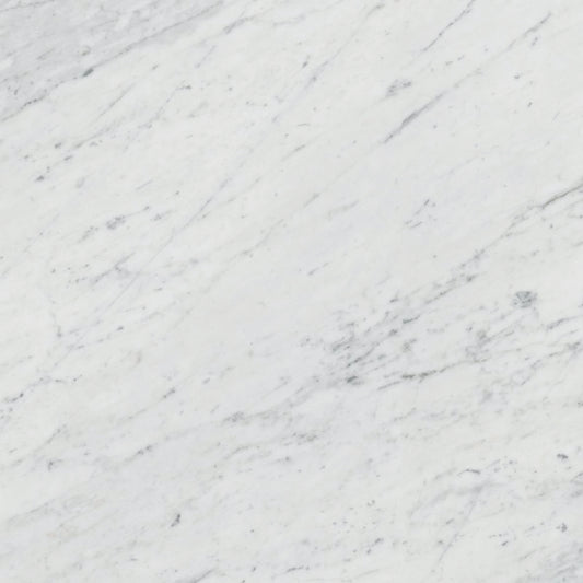 MAJESTIC Bianco Barga 24 x 24 marble style matte wall / floor tile
