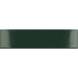 COSTA NOVA Laurel Green 2 x 8 glossy wall tile