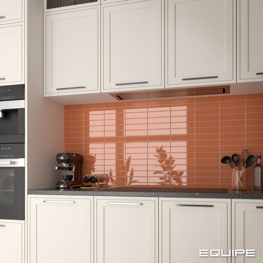COSTA NOVA Terra 2 x 8 glossy wall tile