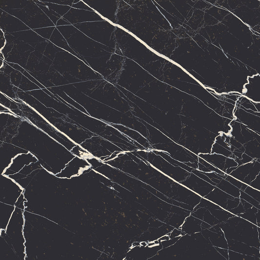 MAJESTIC Nero Bilbao 24 x 24 marble style matte wall / floor tile