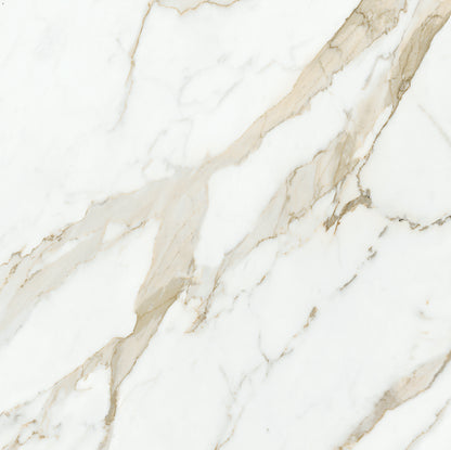 MAJESTIC Oro Versilia 12 x 12 marble style matte wall / floor tile