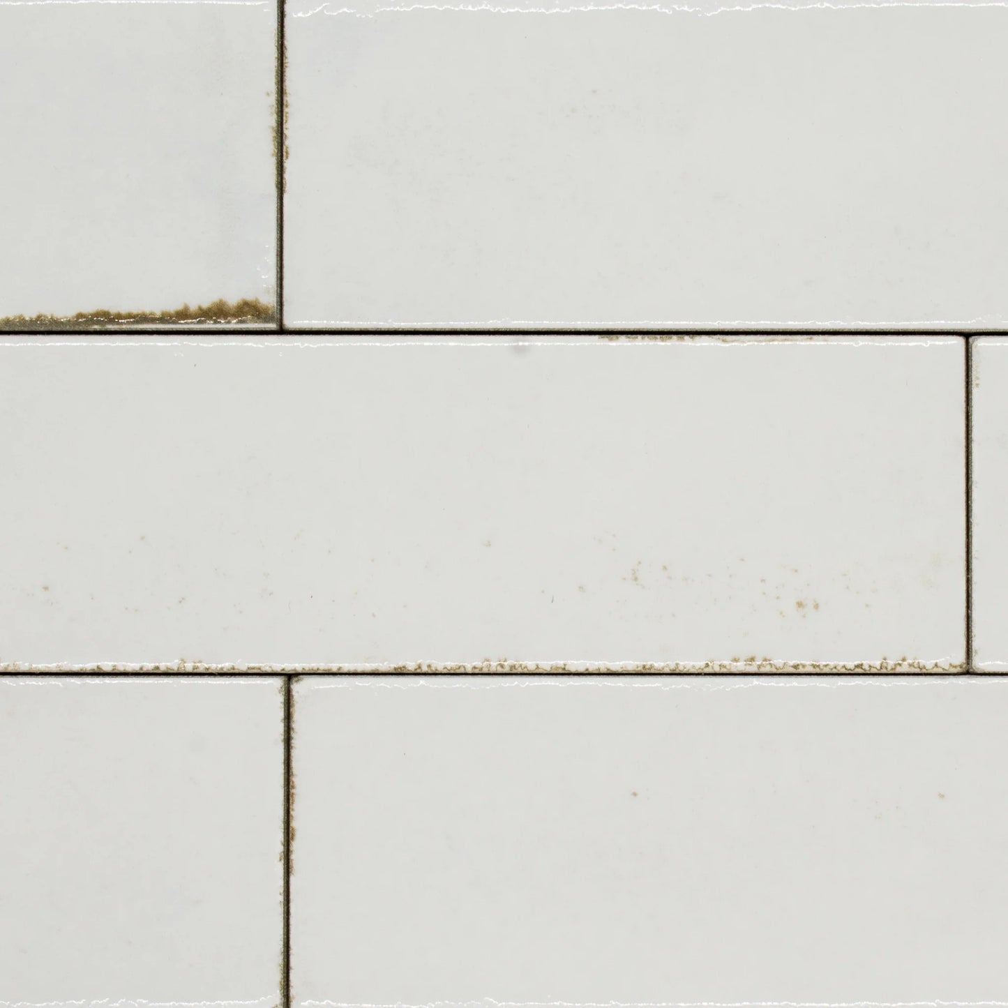 MATISSE Bianco 2-1/2 x 10 zellige style glossy wall tile