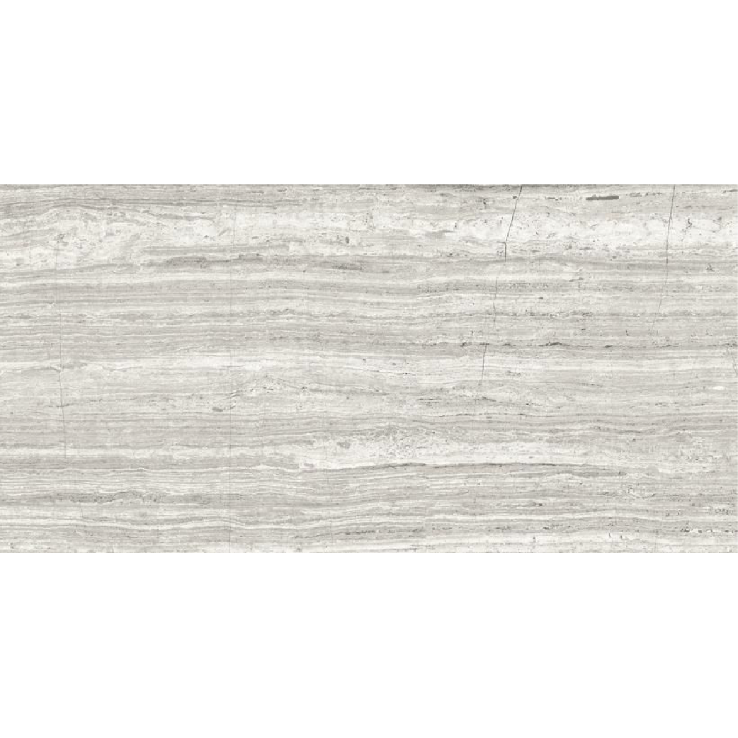 ETERNA ASH 24 x 48 polished wall / floor tile