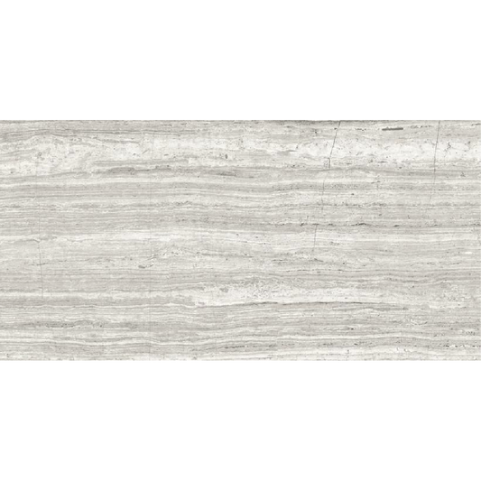 ETERNA ASH 24 x 48 polished wall / floor tile