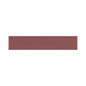 WADI Garnet 2.5 x 12 matte porcelain wall / floor tile