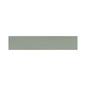 WADI Mint 2.5 x 12 matte porcelain wall / floor tile
