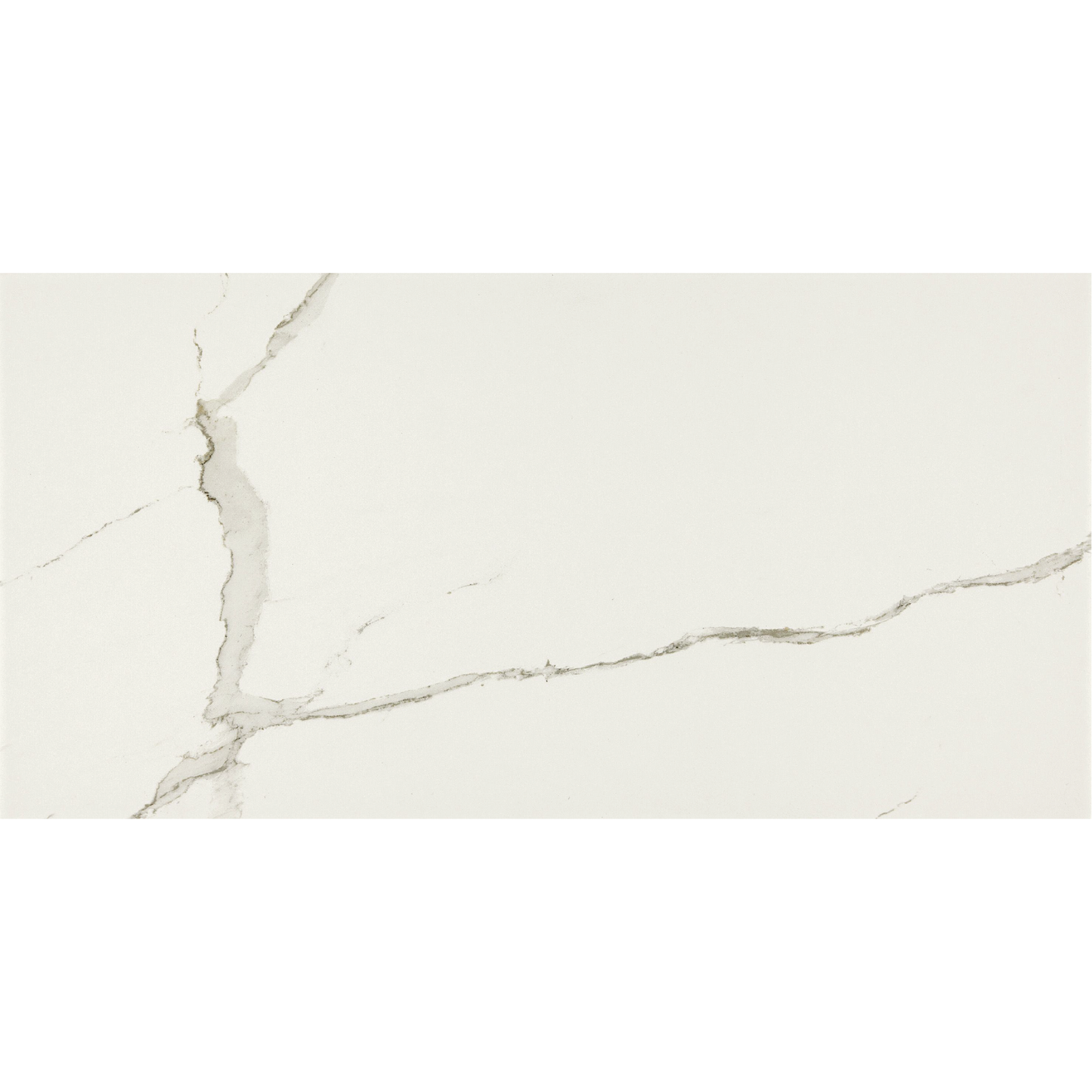 EVERLAST Albatroz 12 x 24 marble style matte wall / floor tile