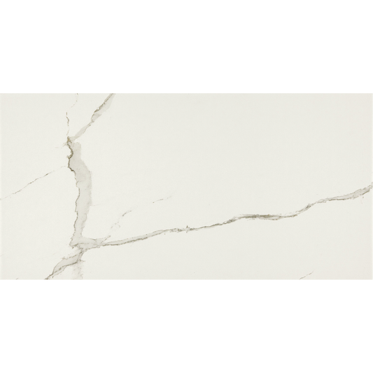 EVERLAST Albatroz 12 x 24 marble style matte wall / floor tile