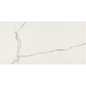 EVERLAST Albatroz 12 x 24 marble style matte wall / floor tile