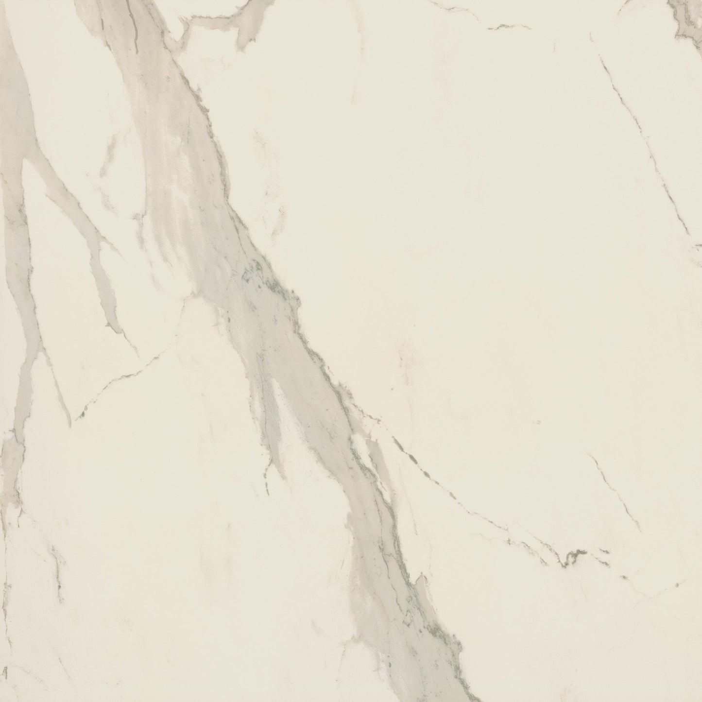 EVERLAST Albatroz 24 x 24 marble style matte wall / floor tile