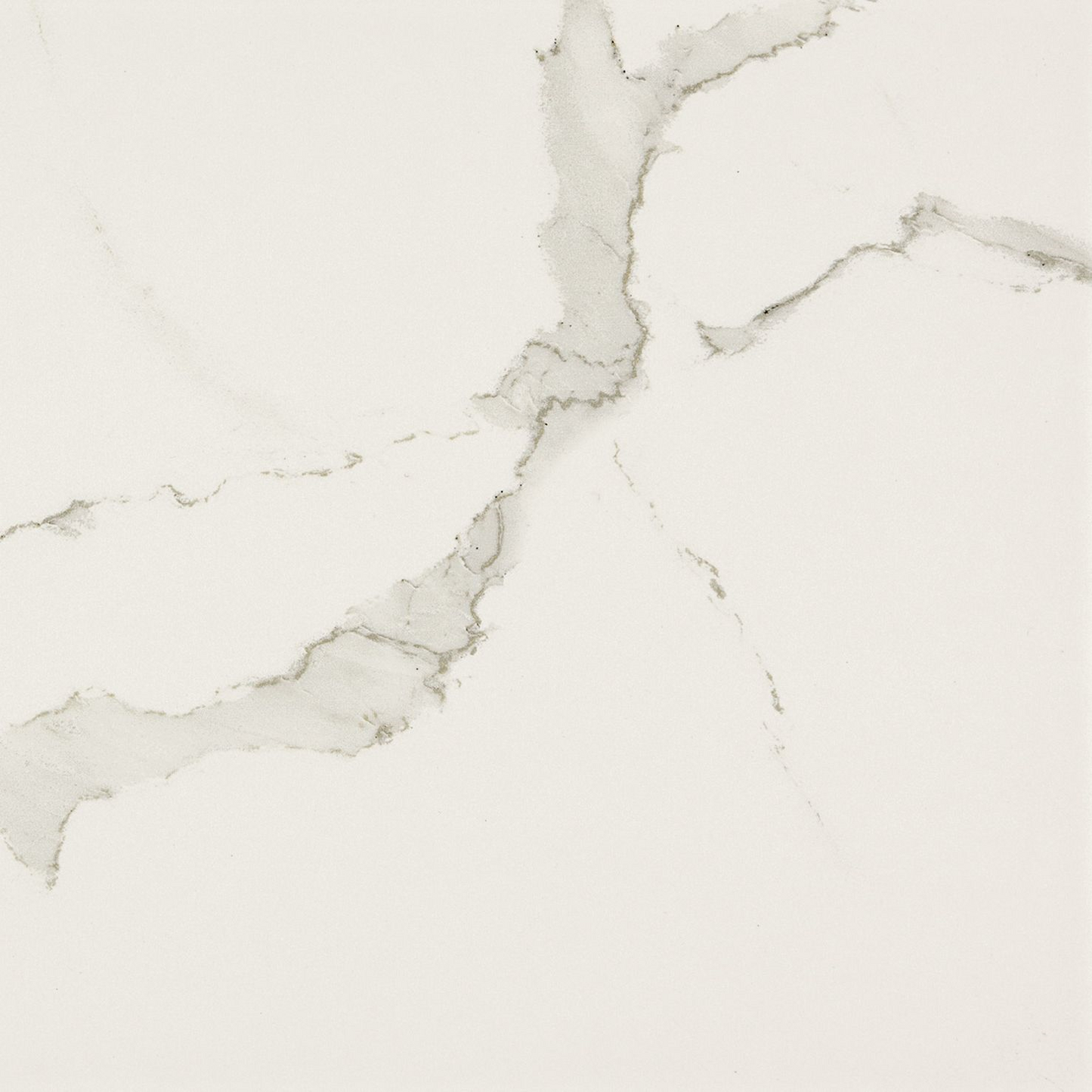 EVERLAST Albatroz 32 x 32 marble style polished wall / floor tile