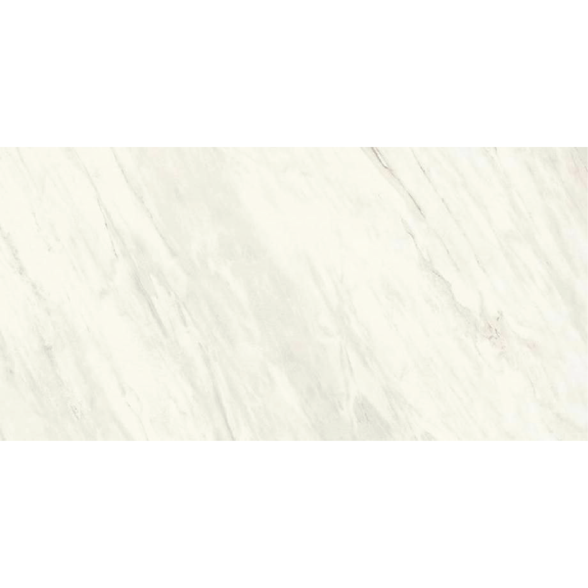 EVERLAST Sirius 12 x 24 marble style matte wall / floor tile