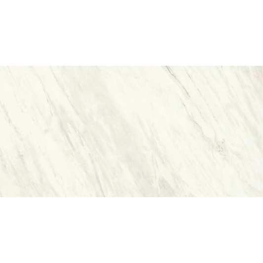 EVERLAST Sirius 12 x 24 marble style matte wall / floor tile