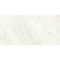 EVERLAST Sirius 12 x 24 marble style matte wall / floor tile