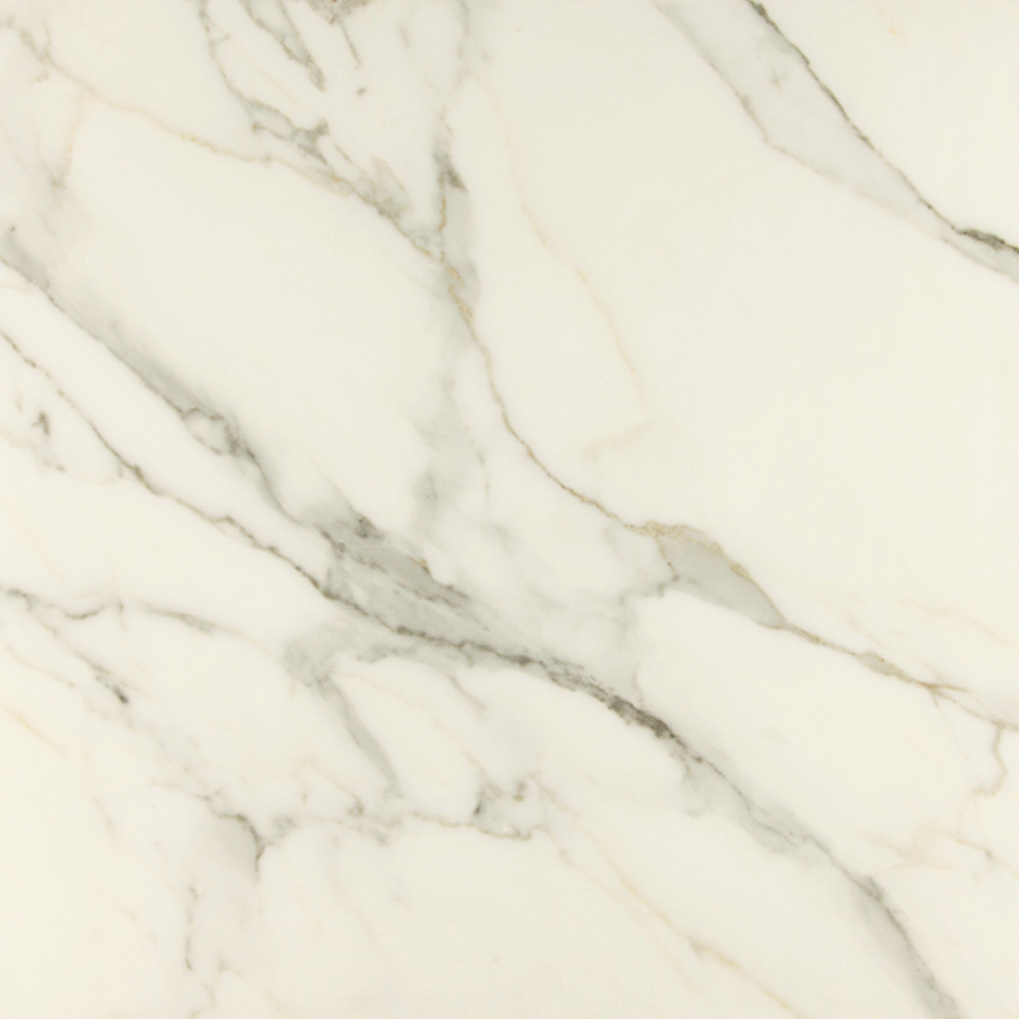 EVERLAST Calacatta 32 x 32 marble style polished wall / floor tile