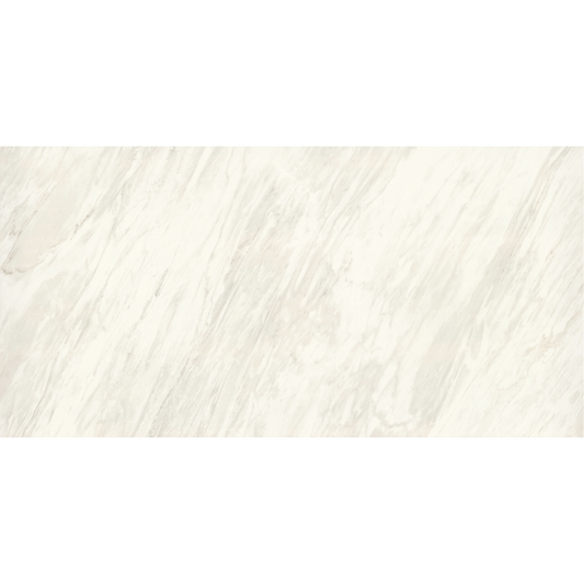 EVERLAST Sirius 24 x 48 marble style polished wall / floor tile