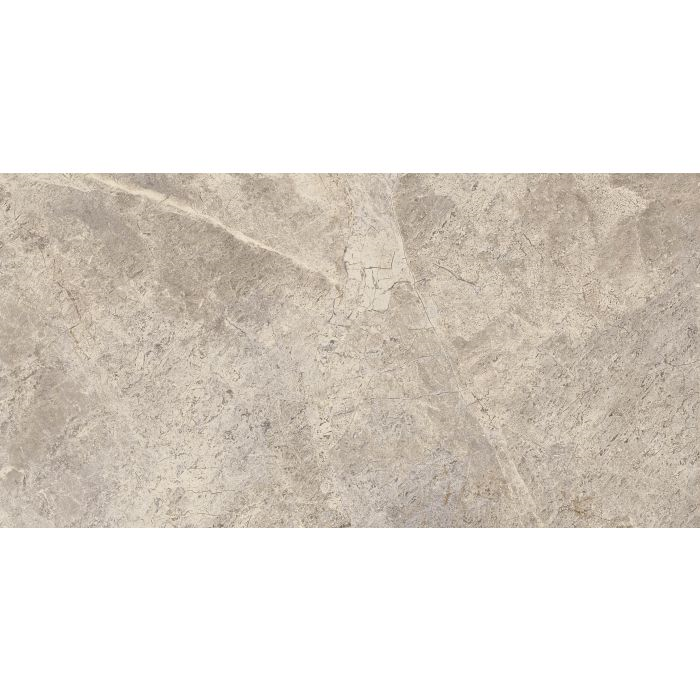 EVERLAST Tundra 24 x 48 marble style polished wall / floor tile