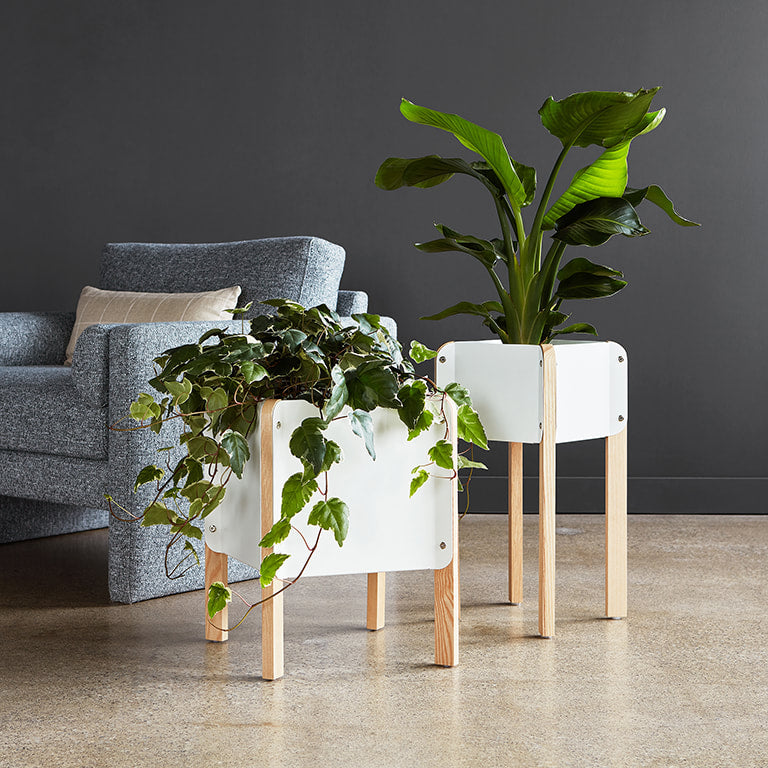 Gus* Modern ATRIUM White high planter