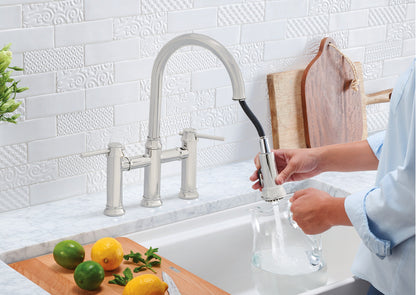 Blanco EMPRESSA Chrome bridge kitchen faucet