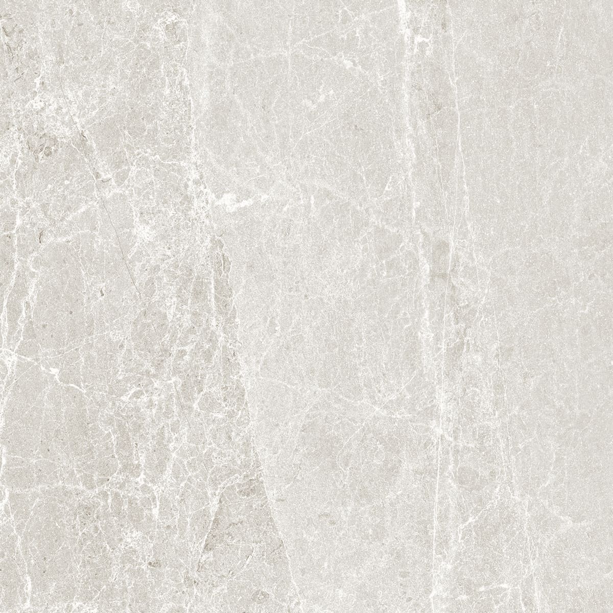 Advantage Chalk 24 x 24 natural porcelain wall / floor tile