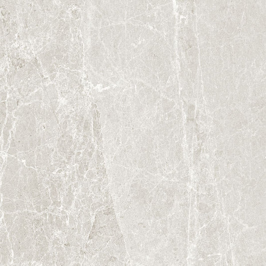 Advantage Chalk 24 x 24 honed porcelain wall / floor tile