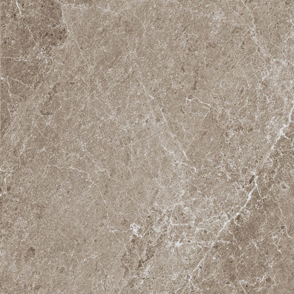 Advantage Greige 24 x 24 natural porcelain wall / floor tile