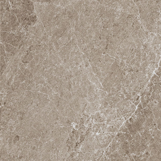 Advantage Greige 24 x 24 honed porcelain wall / floor tile