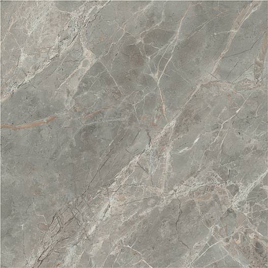 Etoile Gris 24 x 24 polished porcelain wall / floor tile