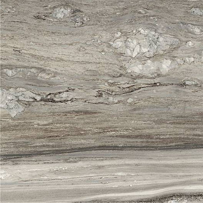 Etoile Tropical 24 x 24 polished porcelain wall / floor tile