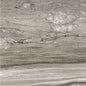 Etoile Tropical 24 x 24 polished porcelain wall / floor tile