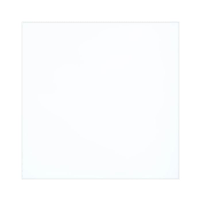 CLEAR OUT | COLOUR & DIMENSION Arctic White 2 x 8 glossy wall tile- 12.45 sf